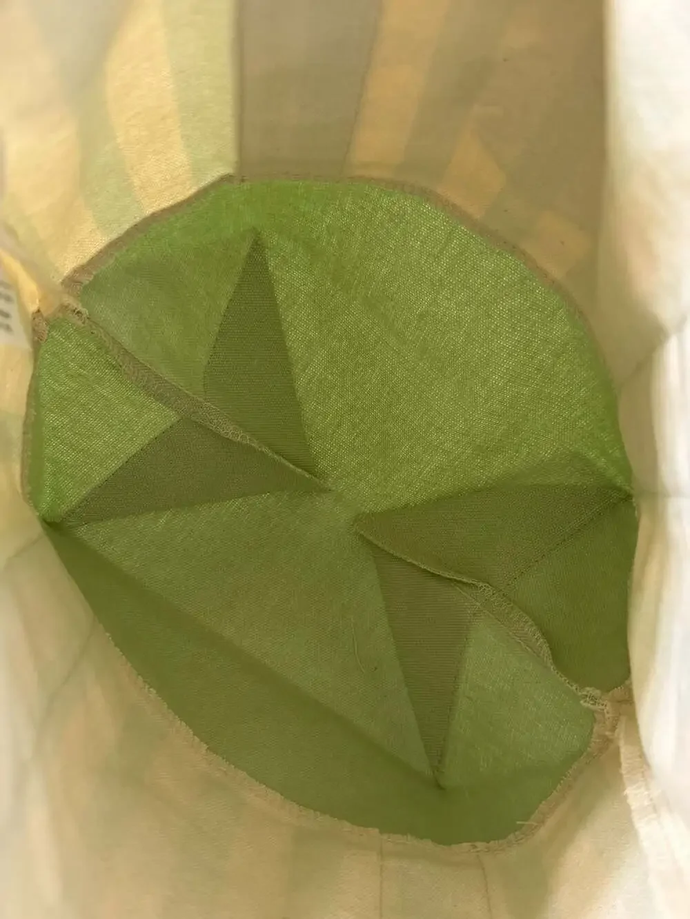Trader Joe's Striped Mini Canvas Tote Bag in Pastel Green